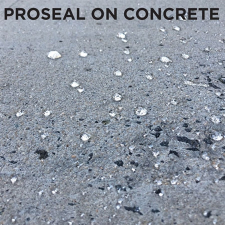 Proseal 200 Lt Tenax